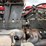 1993-kenworth-t800-image-56