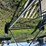 brandt-857-auger-3978-image-4
