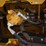 2019-caterpillar-336-image-52