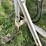 international-1550-image-5