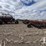 2008-case-ih-sdx40-image-1