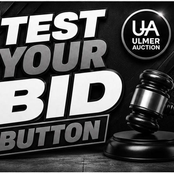 TEST YOUR BID BUTTON