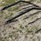 meteer-8-row-30''-corn-reel,-came-off-jd-corn-head.-image-6