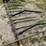 meteer-8-row-30''-corn-reel,-came-off-jd-corn-head.-image-2