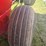ez-trail-500-image-17