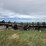2004-case-ih-2062-image-8