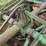 john-deere-14-image-14