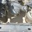 2015-kenworth-t800-image-21