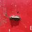 nde-804-image-24