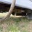 2013-altec-am55-image-20