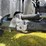2013-case-ih-magnum-290-image-21