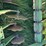 2016-norwood-kwik-till-hsd4075-image-44