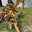 arps-730-image-3