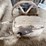 vintage-pump-jack-image-2