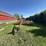 new-holland-116-image-2