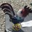 #282-•-metal-art---small-american-rooster-image-1