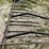 meteer-8-row-30''-corn-reel,-came-off-jd-corn-head.-image-3