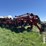 2015-case-ih-1265-image-1