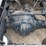 2021-freightliner-cascadia-126-image-12
