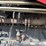 2013-case-ih-magnum-290-image-78