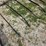 meteer-8-row-30''-corn-reel,-came-off-jd-corn-head.-image-4