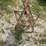 antique-hay-fork-image-2