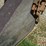 1977-hoes-685-image-12