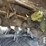 2015-claas-disco-3600fc-image-60