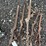 #234-•-(5)-chain-boomers-image-1