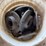 2210-greaseable-bearings-image-2