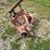 case-ih-1300-image-7