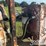 deutz-f4l912-image-7