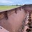 new-holland-307-image-13