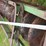 john-deere-14-image-7