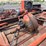 new-holland-1075-image-17