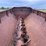 new-holland-307-image-9