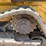 deere-333g-image-8