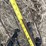 2000-sunflower-1433-32-image-21