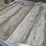 #303-•-mohawk-stainmaster-forest-city-flooring-image-6