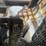 bobcat-773-image-30