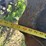 2016-norwood-kwik-till-hsd4075-image-29