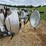 wacker-neuson-ltn-6-image-20