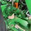 john-deere-9510r-image-59