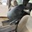 2005-gmc-yukon-image-21
