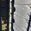 2006-honey-bee-sp42-image-37