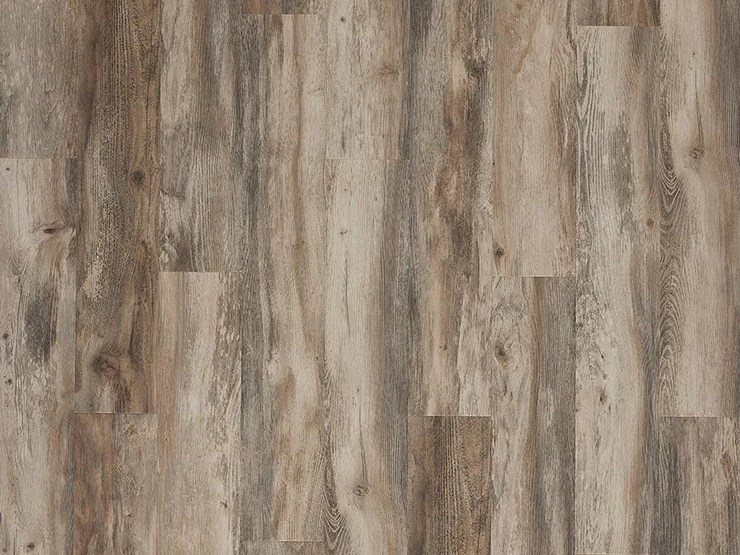 #303-•-mohawk-stainmaster-forest-city-flooring-image-2