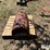 ford-tractor-image-6