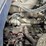 2013-autocar-xpeditor-image-9
