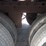 2005-great-dane-van-image-7