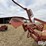 2013-proag-hay-hiker-1400-image-20